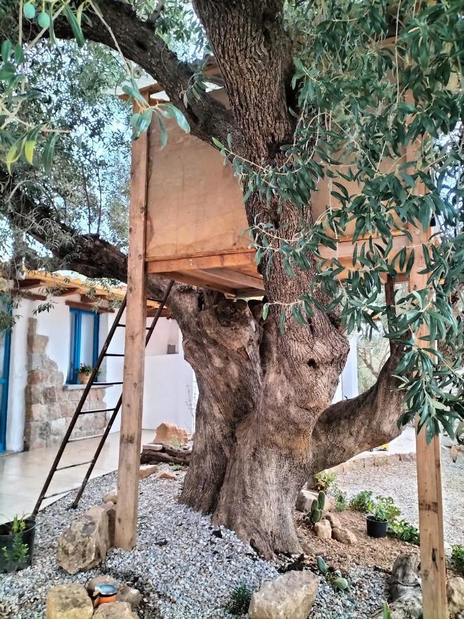 Sole In Ogliastra Bed & Breakfast Jerzu Екстериор снимка