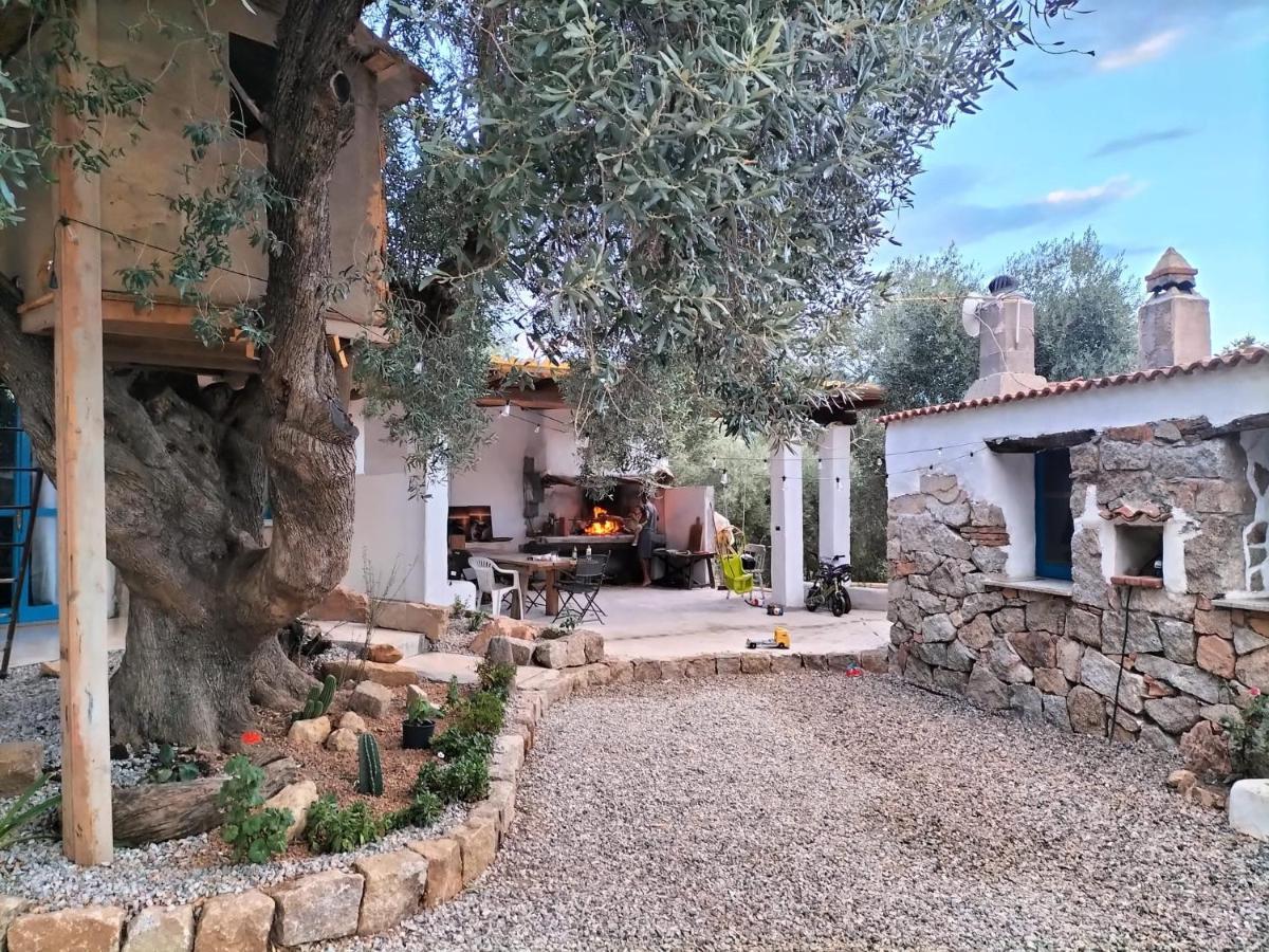 Sole In Ogliastra Bed & Breakfast Jerzu Екстериор снимка