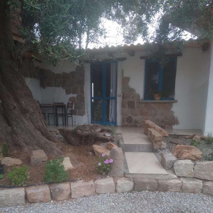 Sole In Ogliastra Bed & Breakfast Jerzu Екстериор снимка