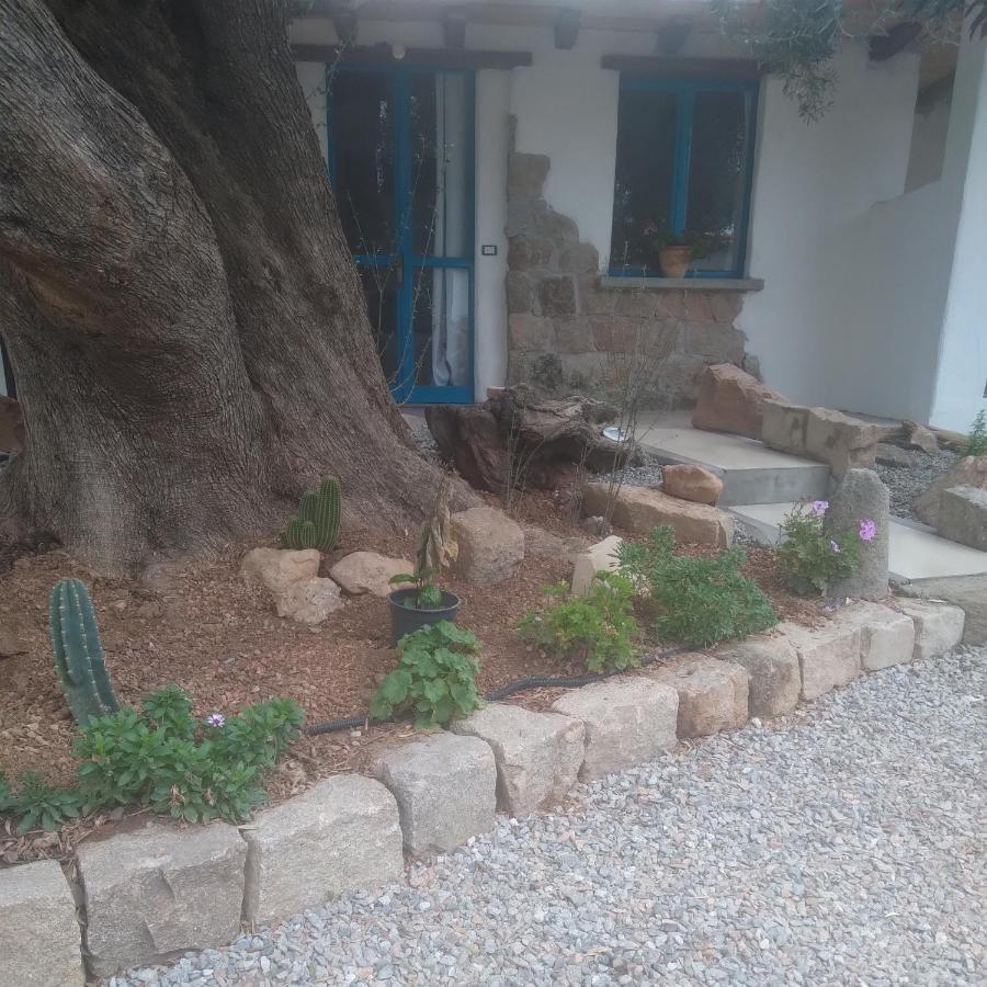 Sole In Ogliastra Bed & Breakfast Jerzu Екстериор снимка