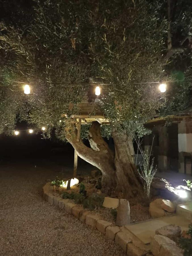 Sole In Ogliastra Bed & Breakfast Jerzu Екстериор снимка