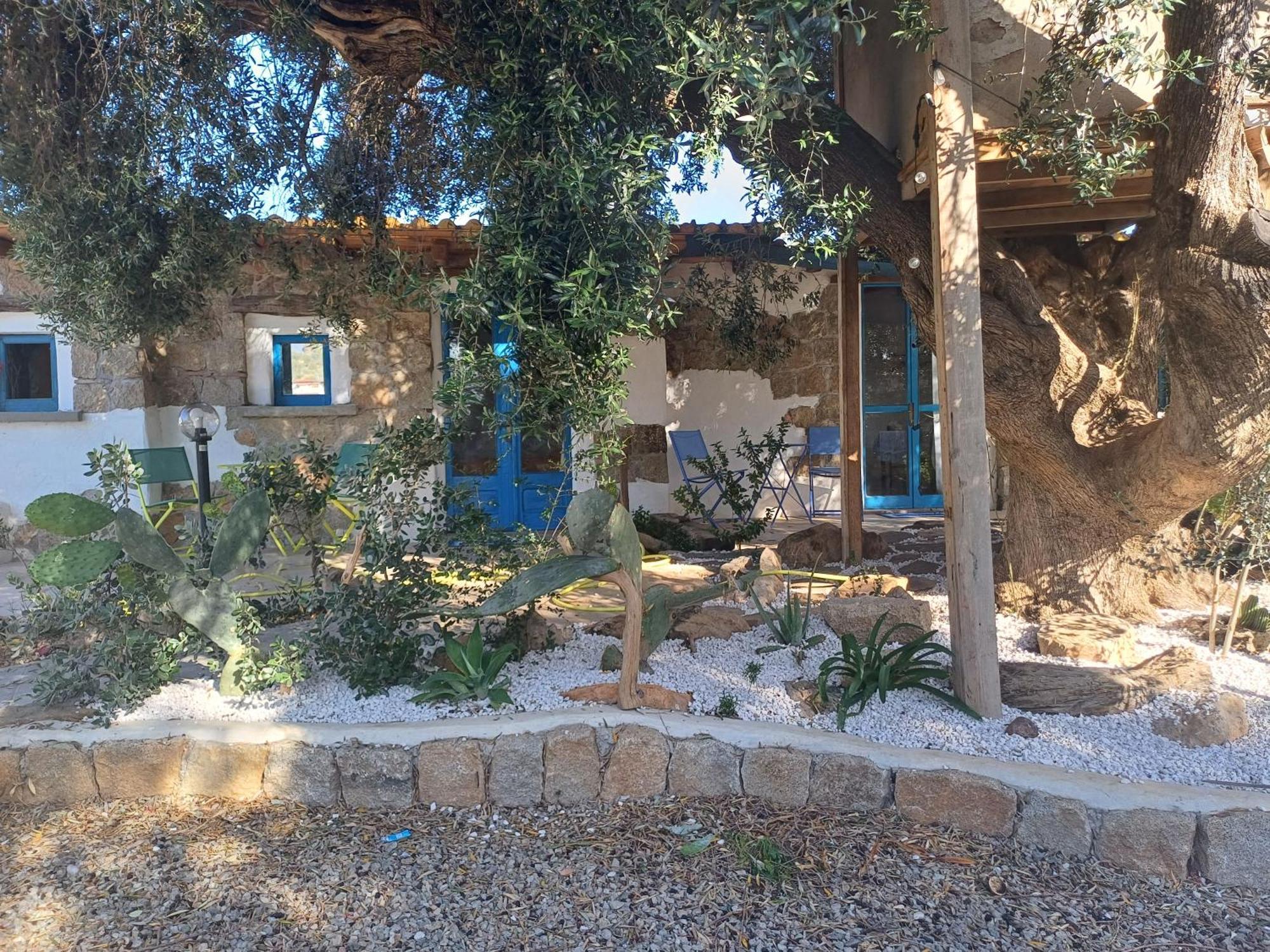 Sole In Ogliastra Bed & Breakfast Jerzu Стая снимка